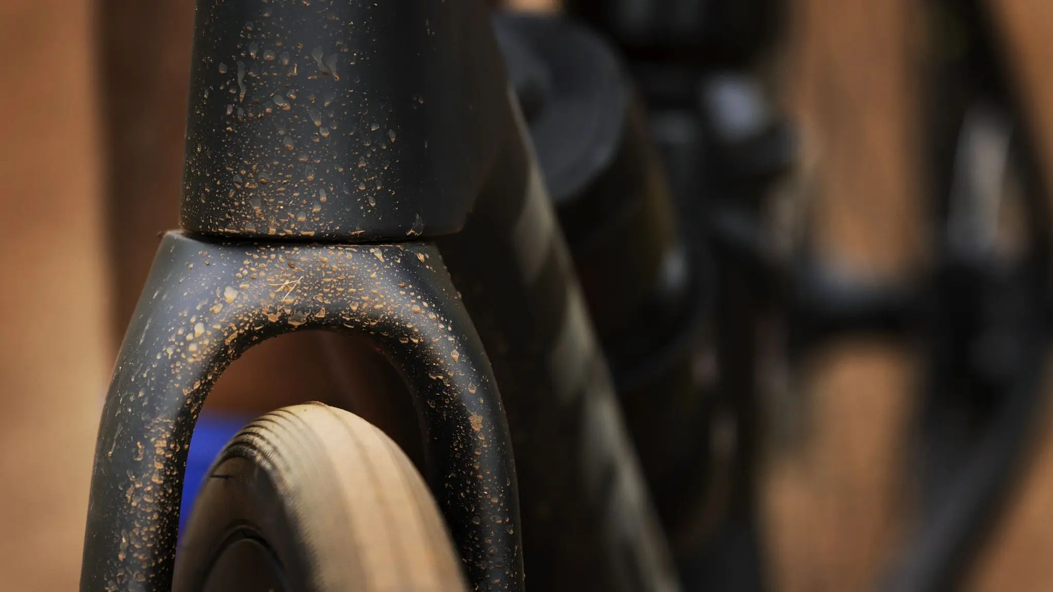 Trek Domane SLR 7 Gen 4