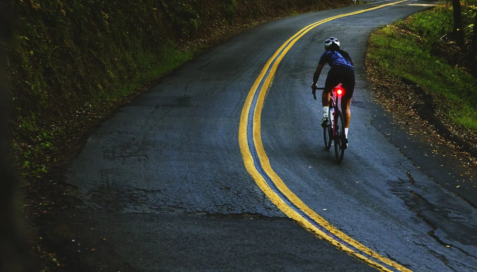 Trek Domane SLR 7 Gen 4